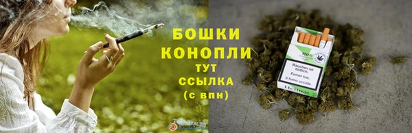 гидра Няндома