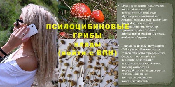 МДПВ Горняк