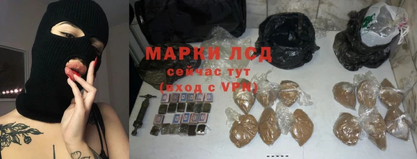 Альфа ПВП Гусев