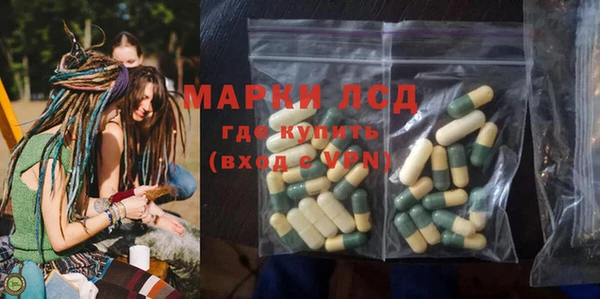 Альфа ПВП Гусев