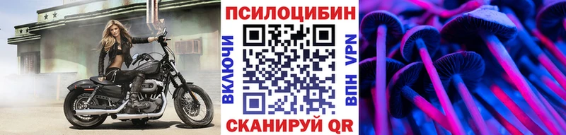 Галлюциногенные грибы Cubensis  kraken ONION  Пласт  как найти  