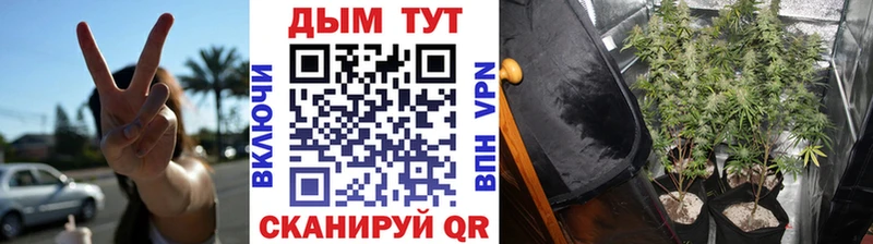 купить наркоту Пласт omg онион Каннабис конопля
